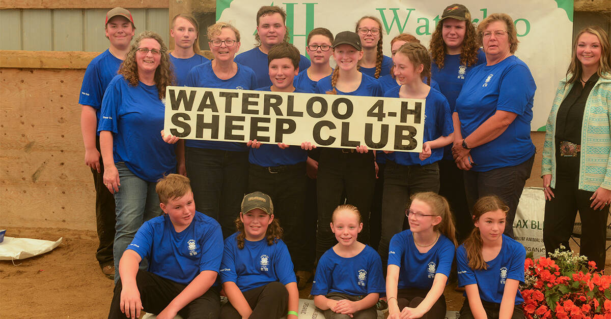 No reason to be sheepish about their accomplishments