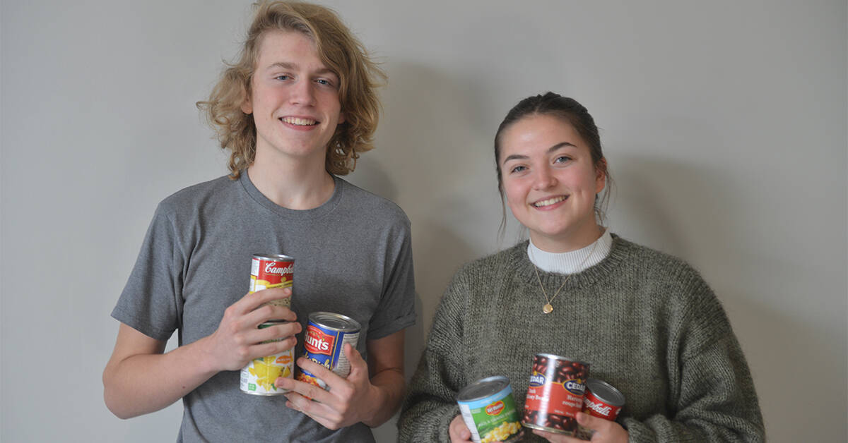 Young Elmirans going door to door for more than candy