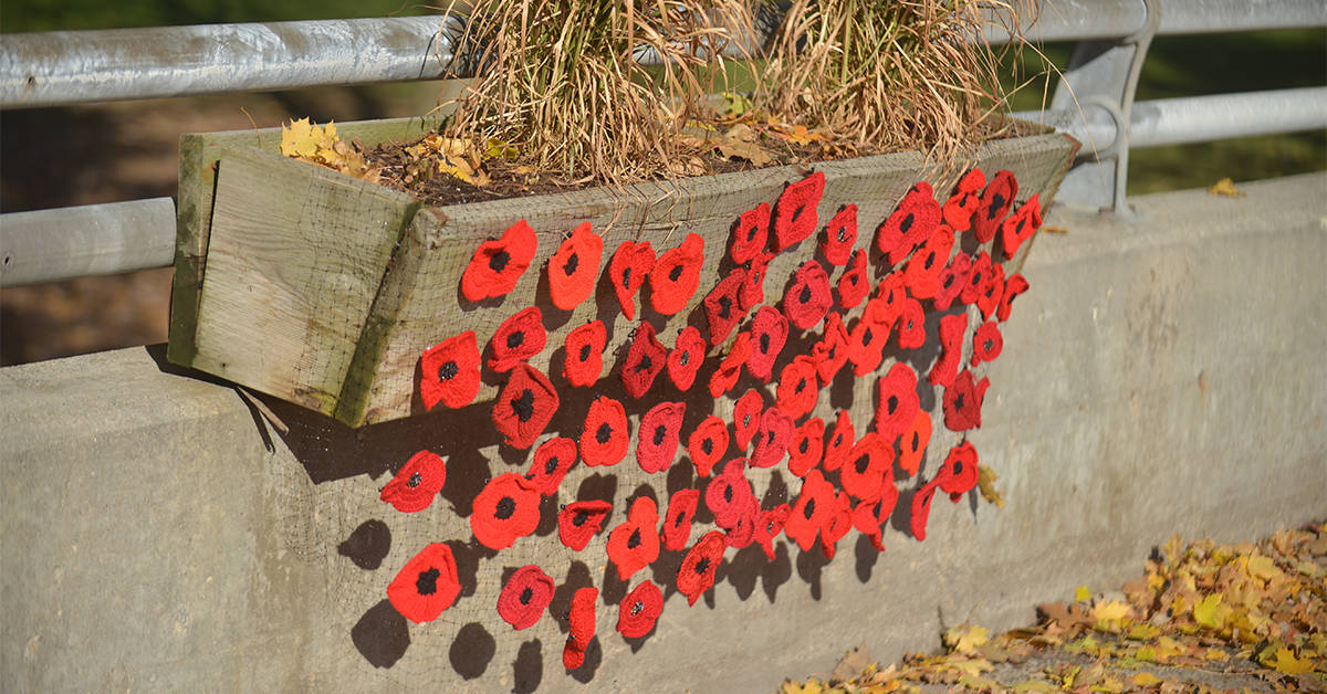 Legion rolling out compostable poppies for this year’s campaign