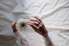 What is Bakuchiol?