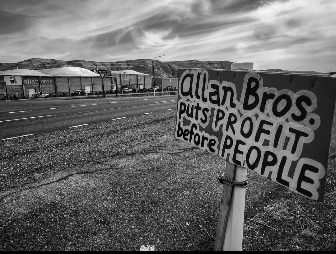 Courtesy Angelina Lara/TUJ