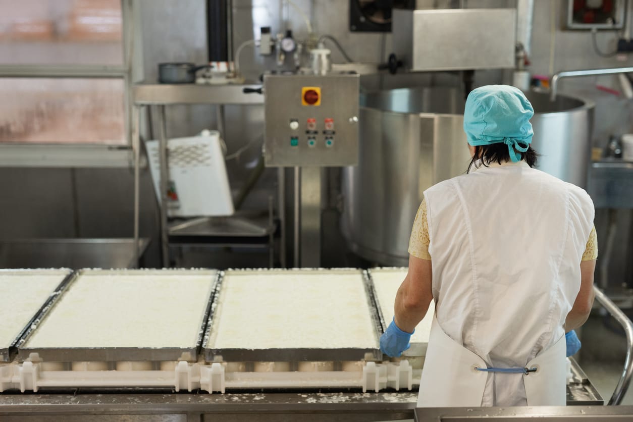 Back view portrait of female worker forming cheese at dairy production factory
