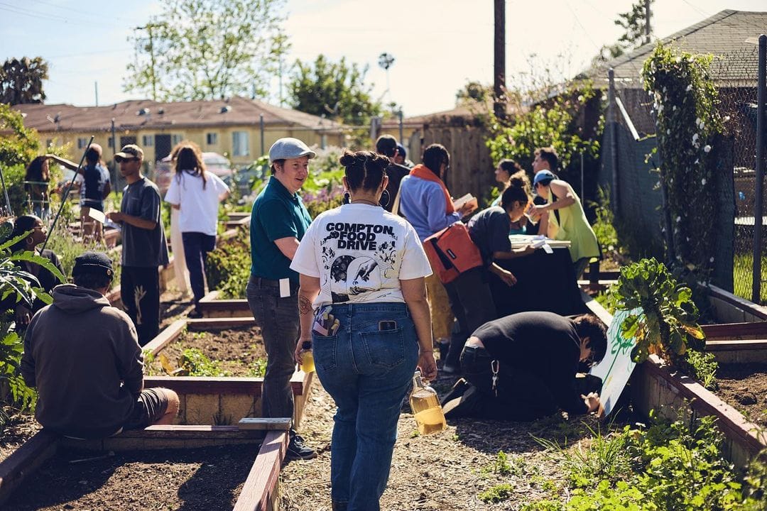 color photograph of about a dozen people standing the midground and background of a flourishing community garden, milling aro
