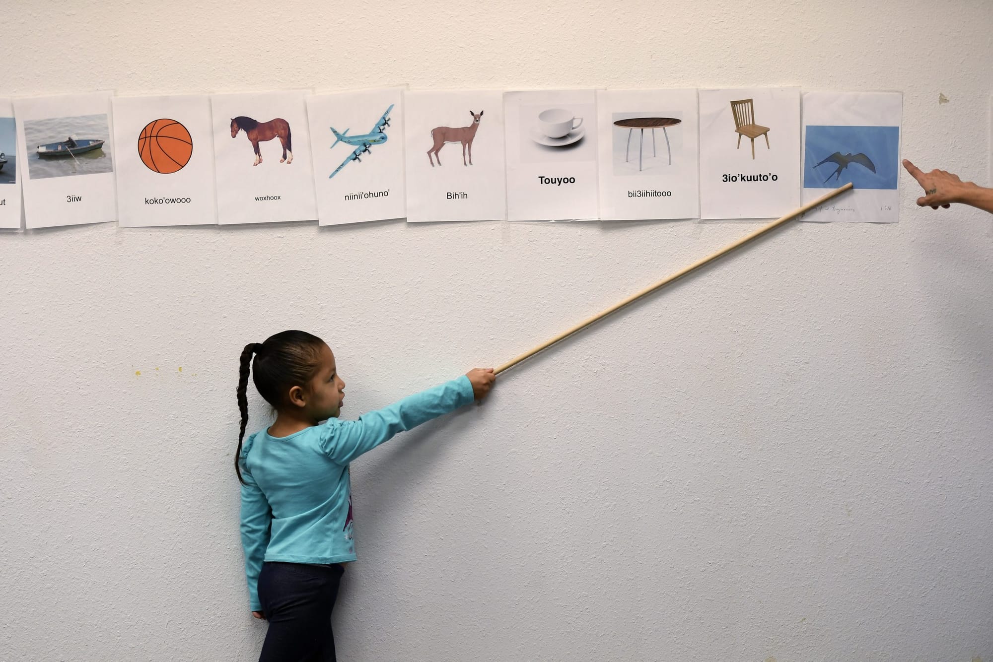 The Indigenous leader using AI to protect endangered languages