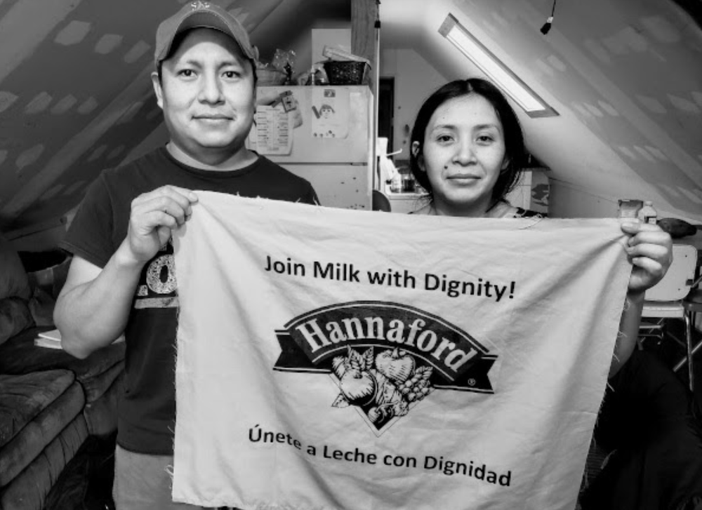 Worker-led programs like Milk with Dignity are key to protecting dairy farm workers