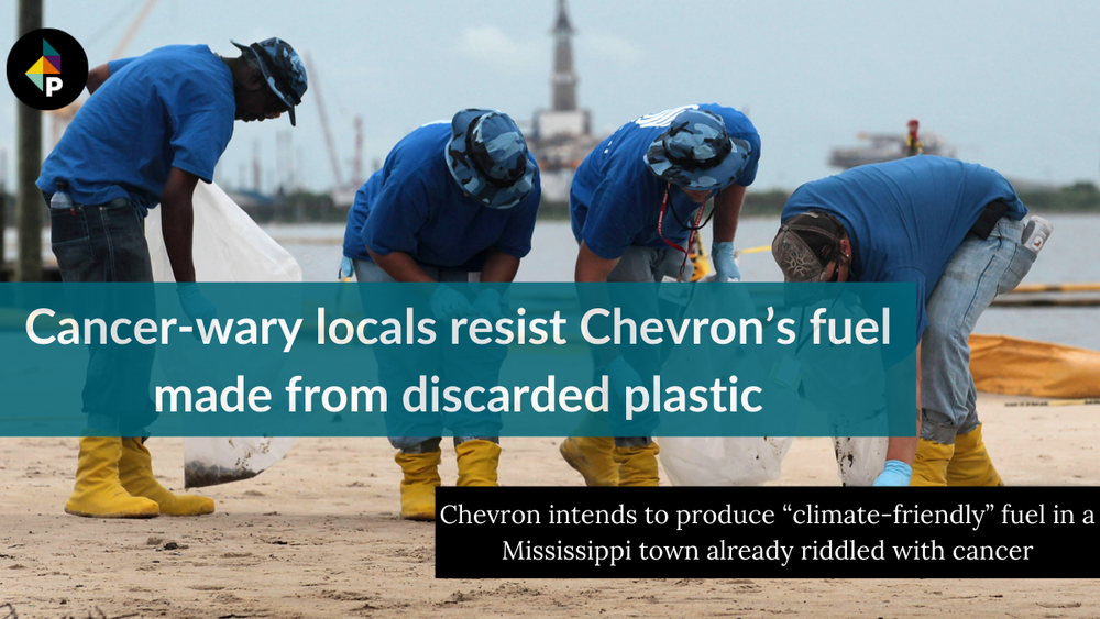 color photograph of four people wearing blue t-shirts bent over on a sandy shore. they hold plastic trash bags they are filli