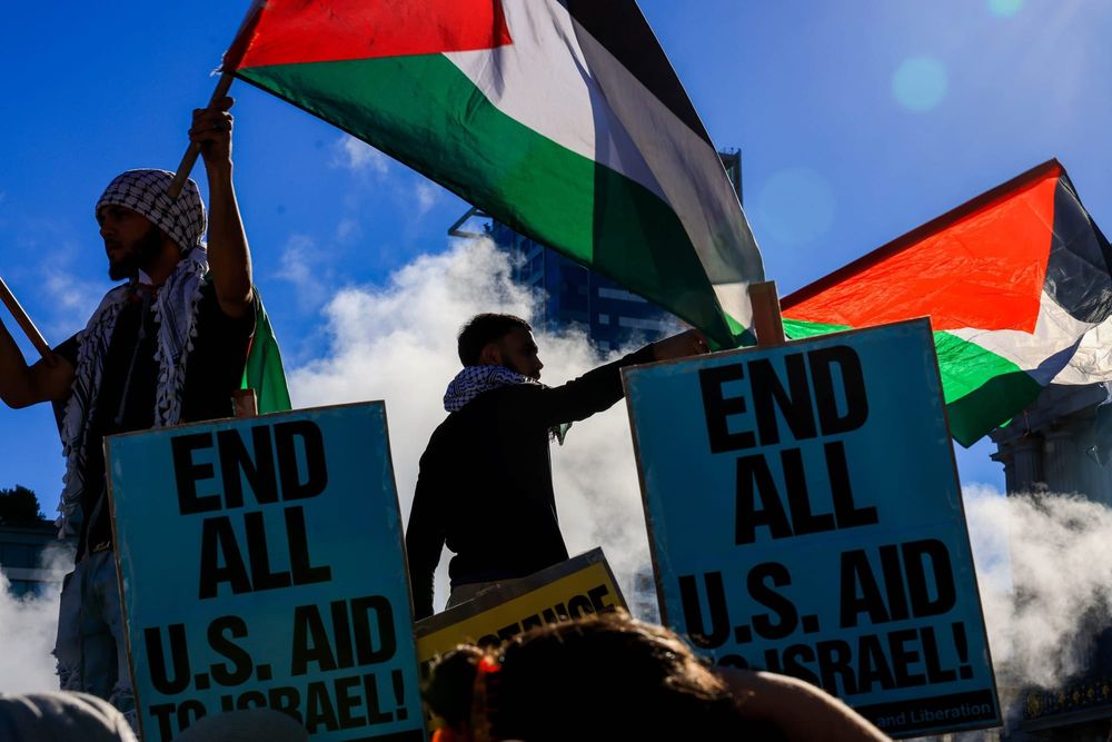 color photograph of an outdoor protest in support of Palestinian liberation. people wave Palestinian flags and hold up poster