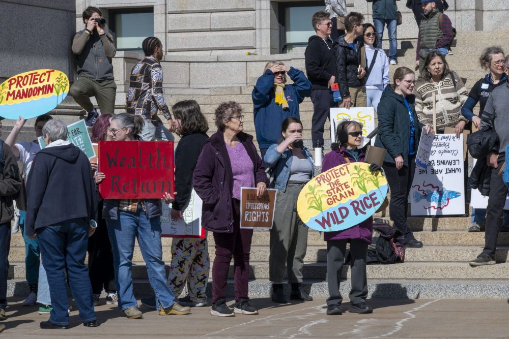Groundbreaking bill to protect manoomin incorporates Indigenous lifeways and teachings into Western legal framework