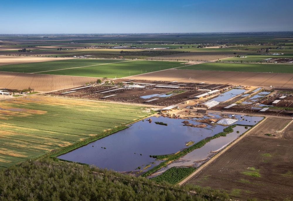 Dairies in California’s Central Valley not only pollute with impunity, but with state support