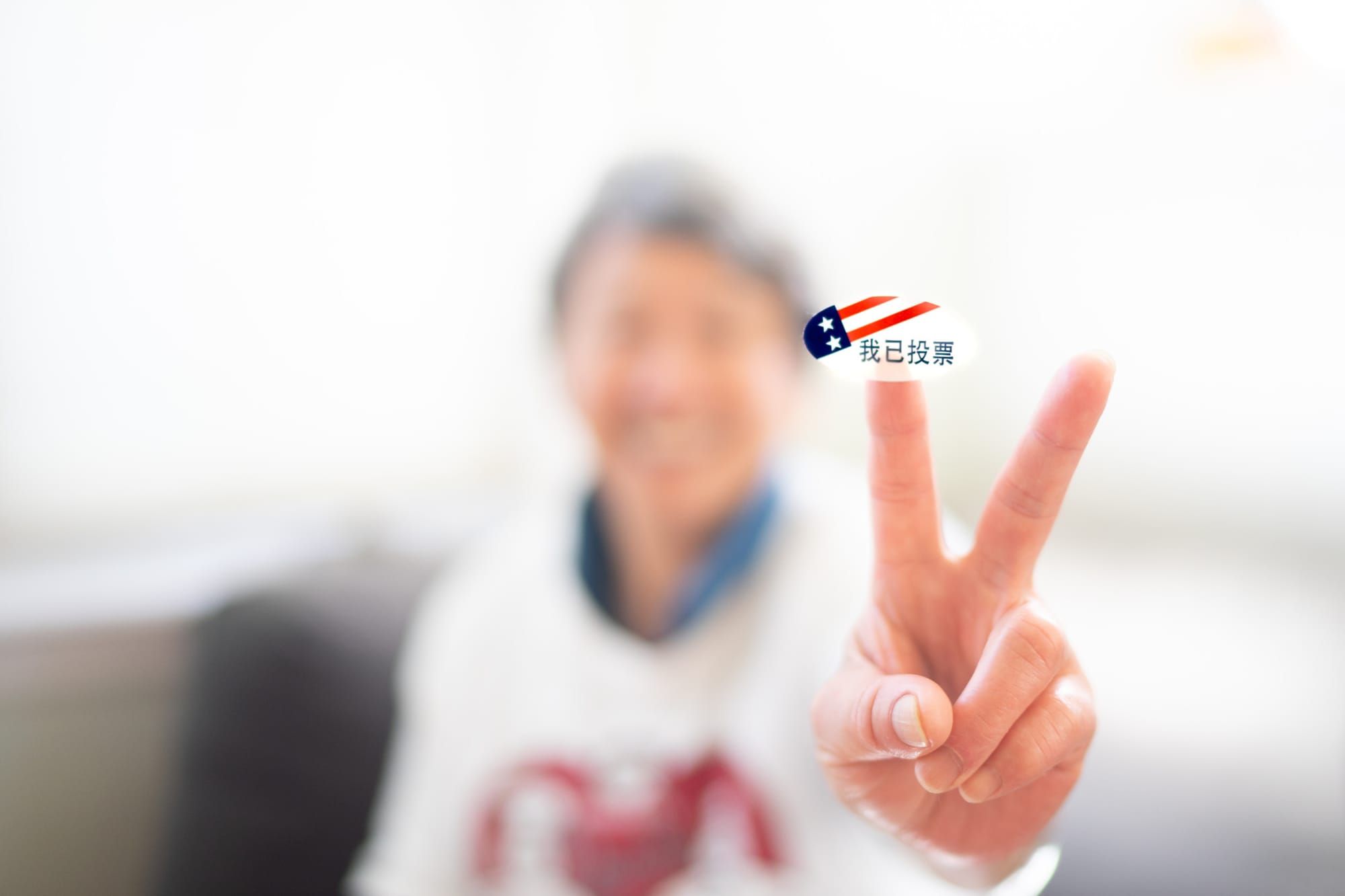 chinese-asian-vote-sticker-voter-election-minority-voted-presidential-election-just-voted t20 vLlXvw