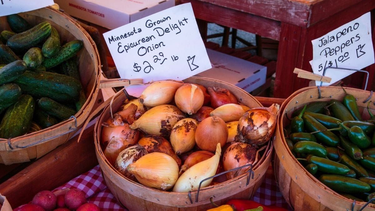 How Hmong farmers are building collective power in Minnesota