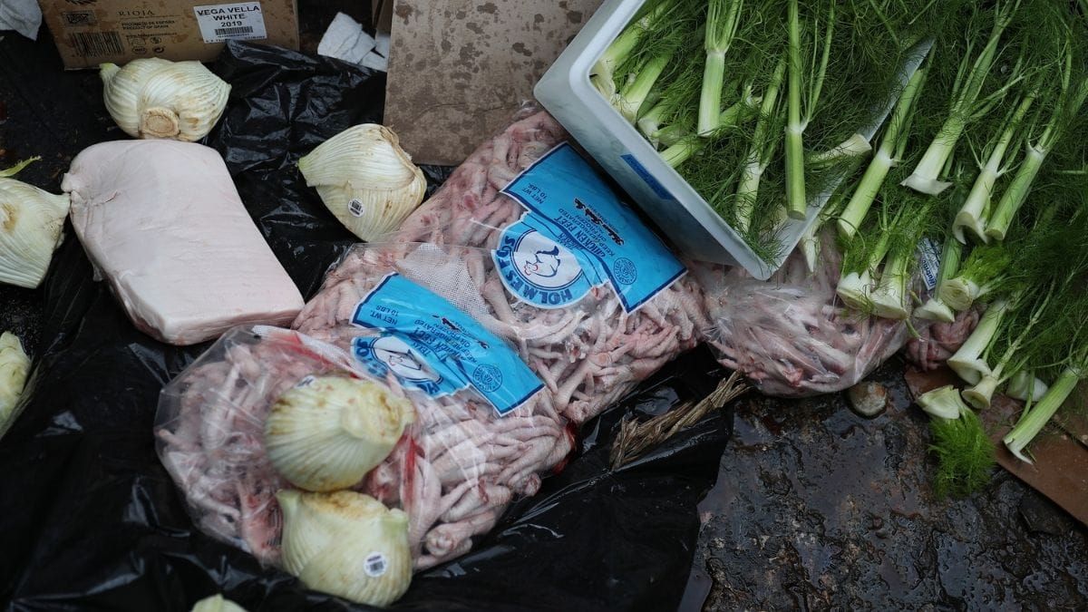 Millions of Americans are going hungry while corporations choose to waste food rather than risk profit