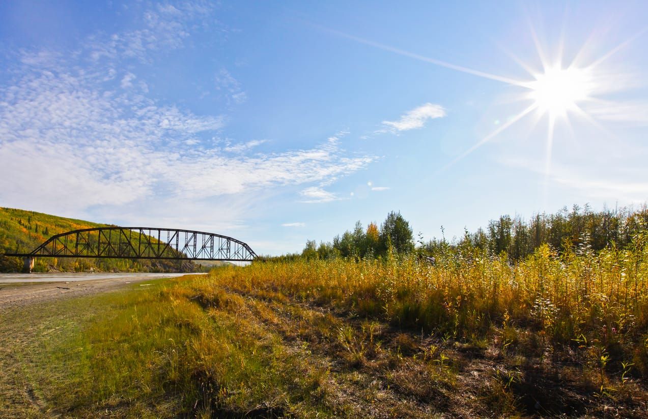 color photography of a bridge over the Tanana River in Nenana, Alaska. yellow grass grows tall in the foreground, with conife