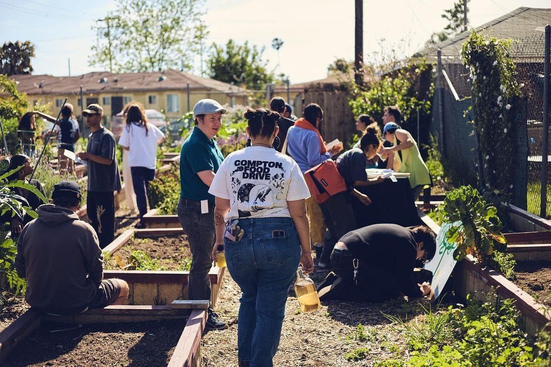 color photograph of about a dozen people standing the midground and background of a flourishing community garden, milling aro
