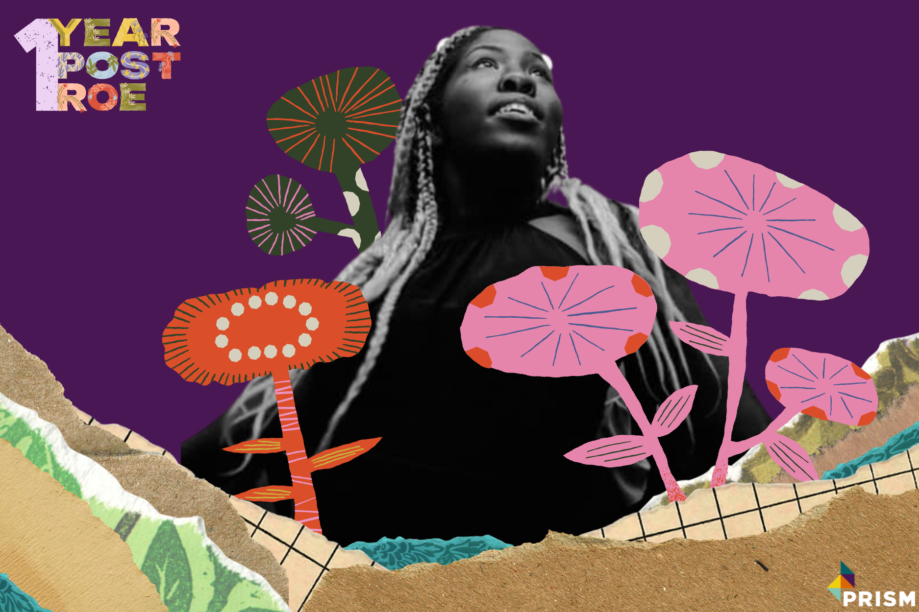 Chrysanthemum, Carolina Abortion Fund. Prism's One year post-Roe series features 13 sexual and reproductive health, rights, a