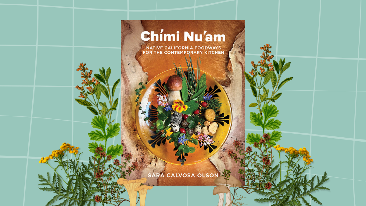 digital collage on a light teal background with a loose wavy grid in a slightly lighter green. digital images of herbs and mu