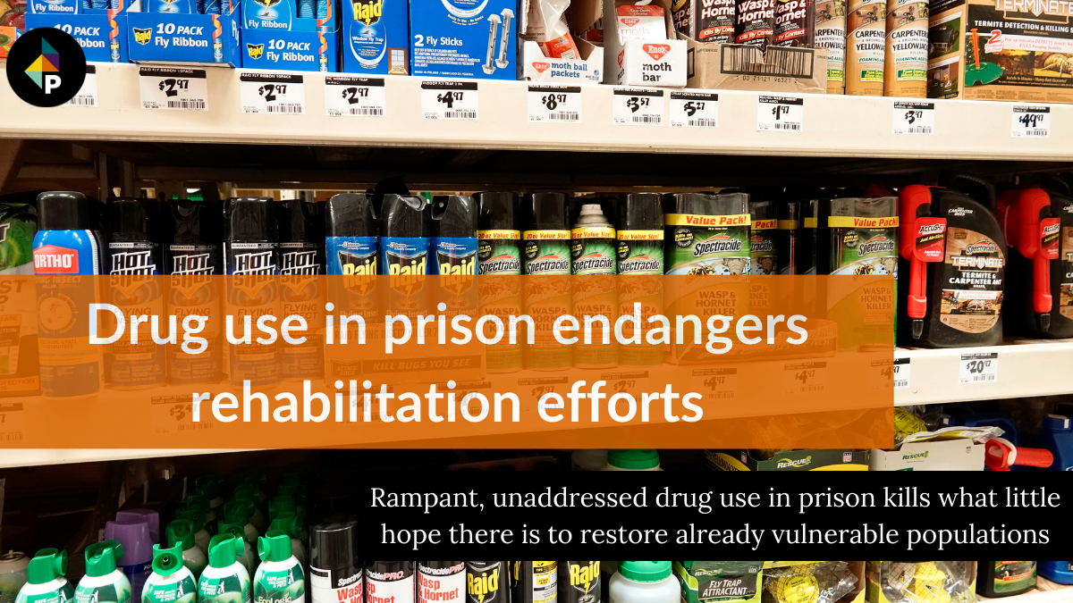 color photograph of a shelved wall of insect killing products at a store. the logo for prism reports is overlaid in the top l