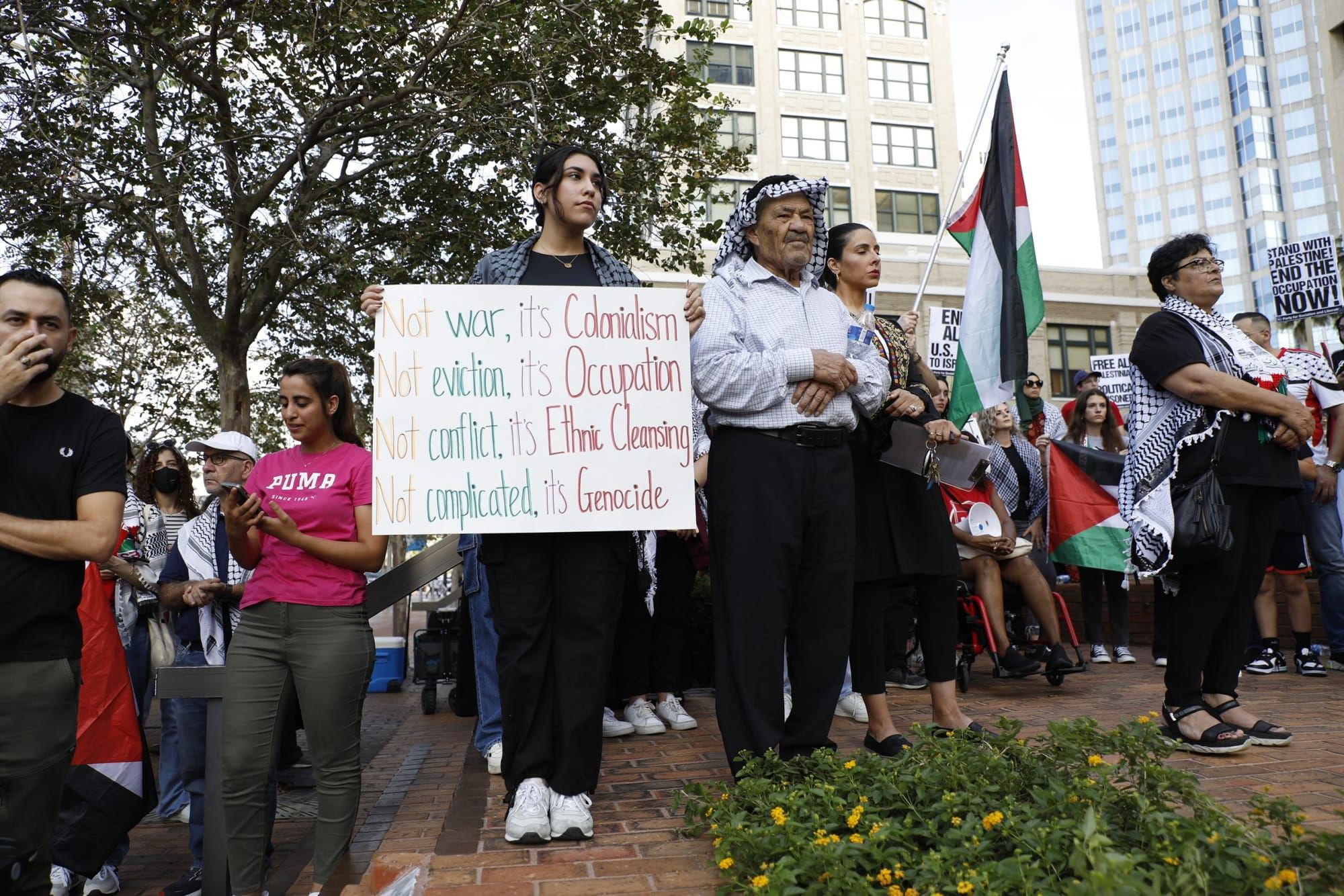 color photograph of an outdoor protest in support of Palestine. in the center of the frame in the mid-ground, a young person