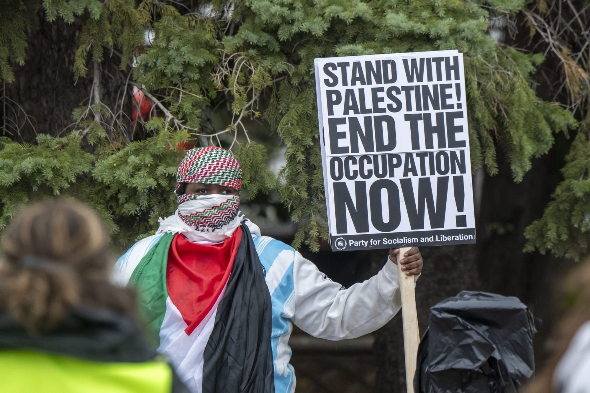 color photograph of an outdoor protest. a Black person wearing a kufiyya as a headscarf and a Palestinian flag around their n