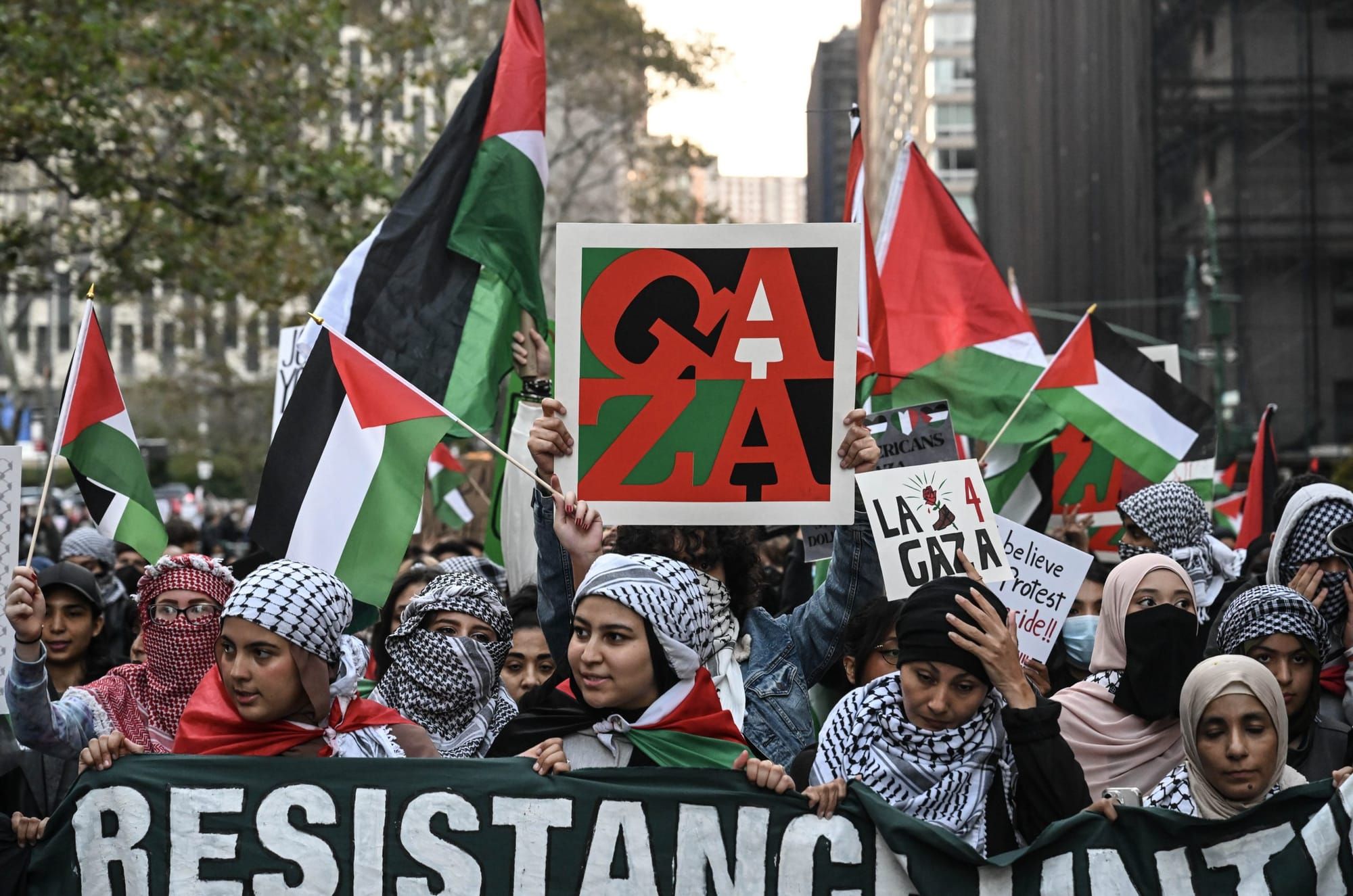 color photograph of an outdoor protest in support of palestinian liberation. people hold up palestinian flags and signs in su