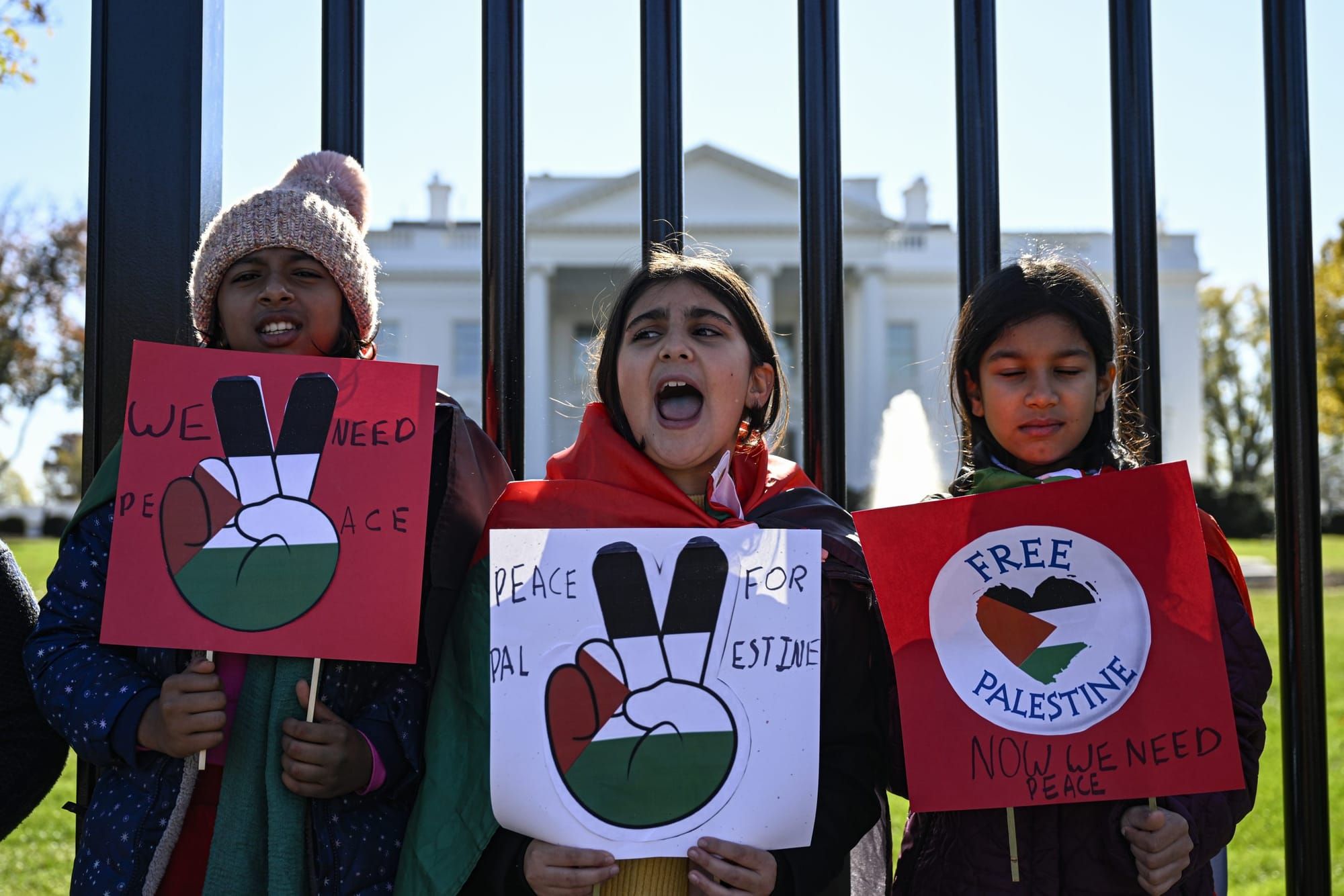 ‘You cannot have 10,000 dead Palestinians and not say anything’ 