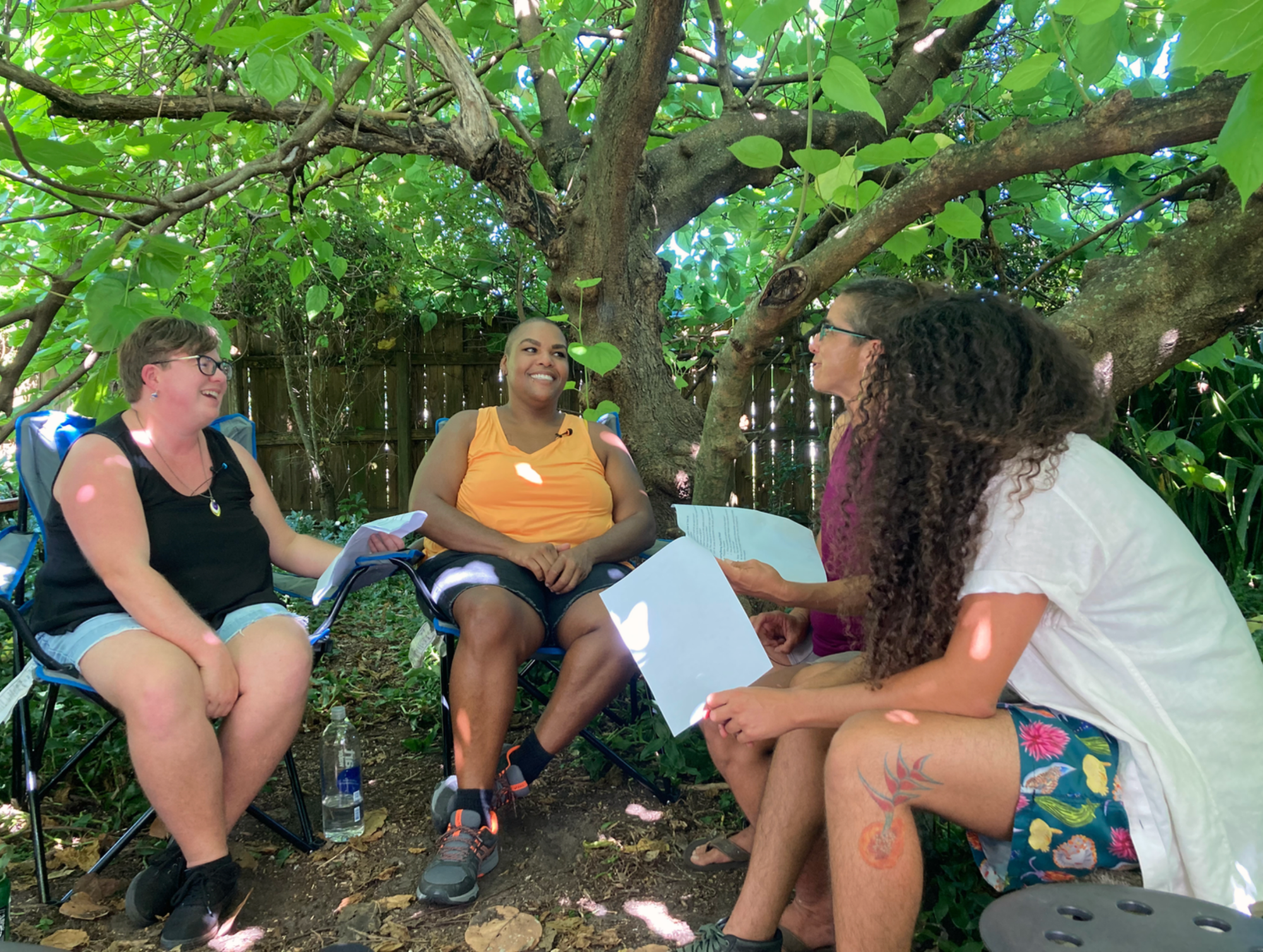 outdoor color photograph of four queer people sitting in camping chairs under a tree's canopy of leaves