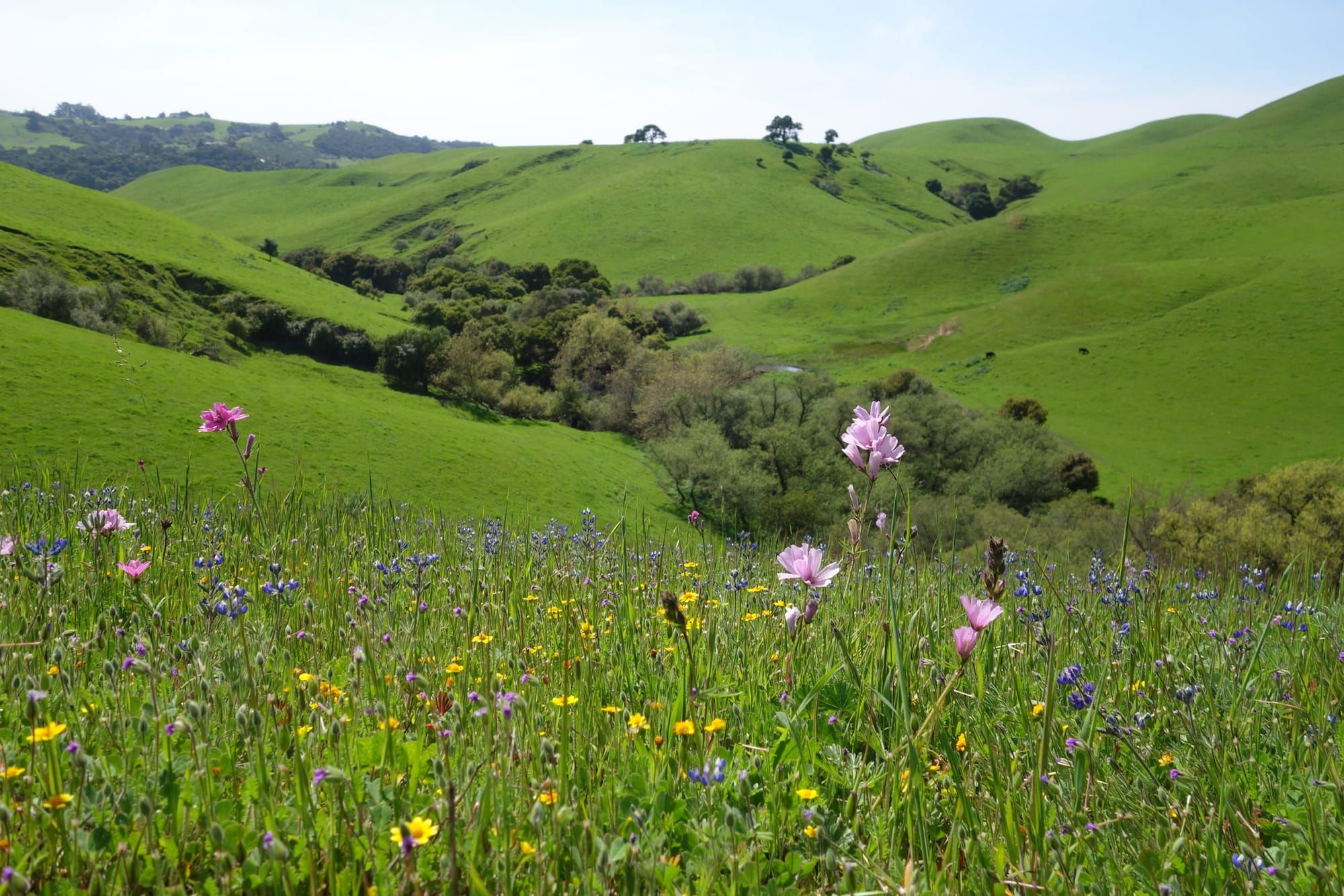 San Francisco Bay Area’s Amah Mutsun Tribal Band continues fight to preserve sacred land