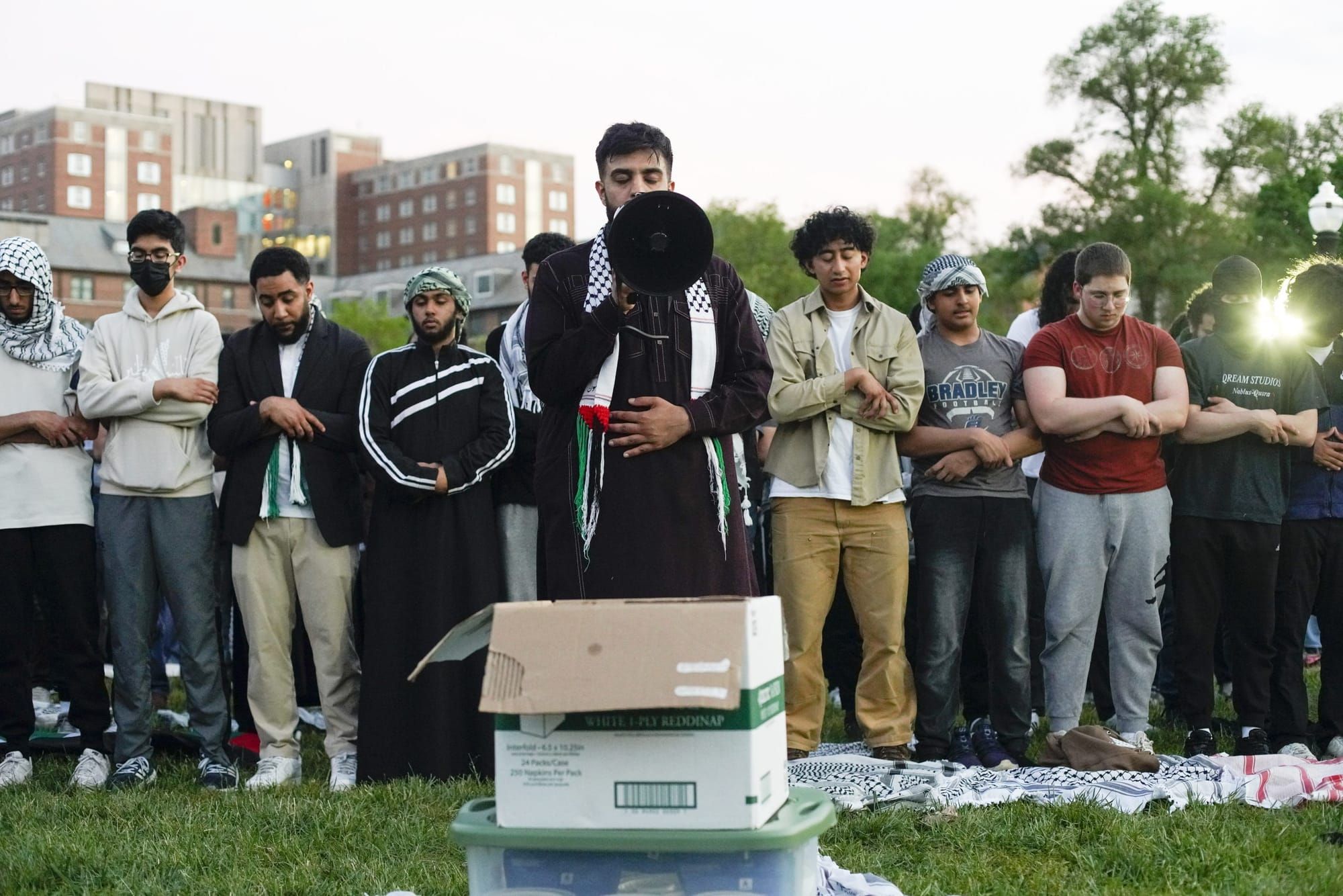 color photograph of an outdoor protest in support of Palestinian liberation. people stand in a straight line across the mid-g