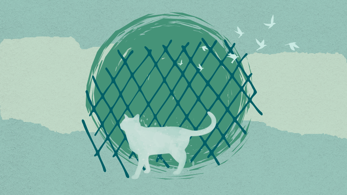 color digital collage of a cat's and several flying birds' silhouettes in front of dark teal cross-hatching on a light teal b