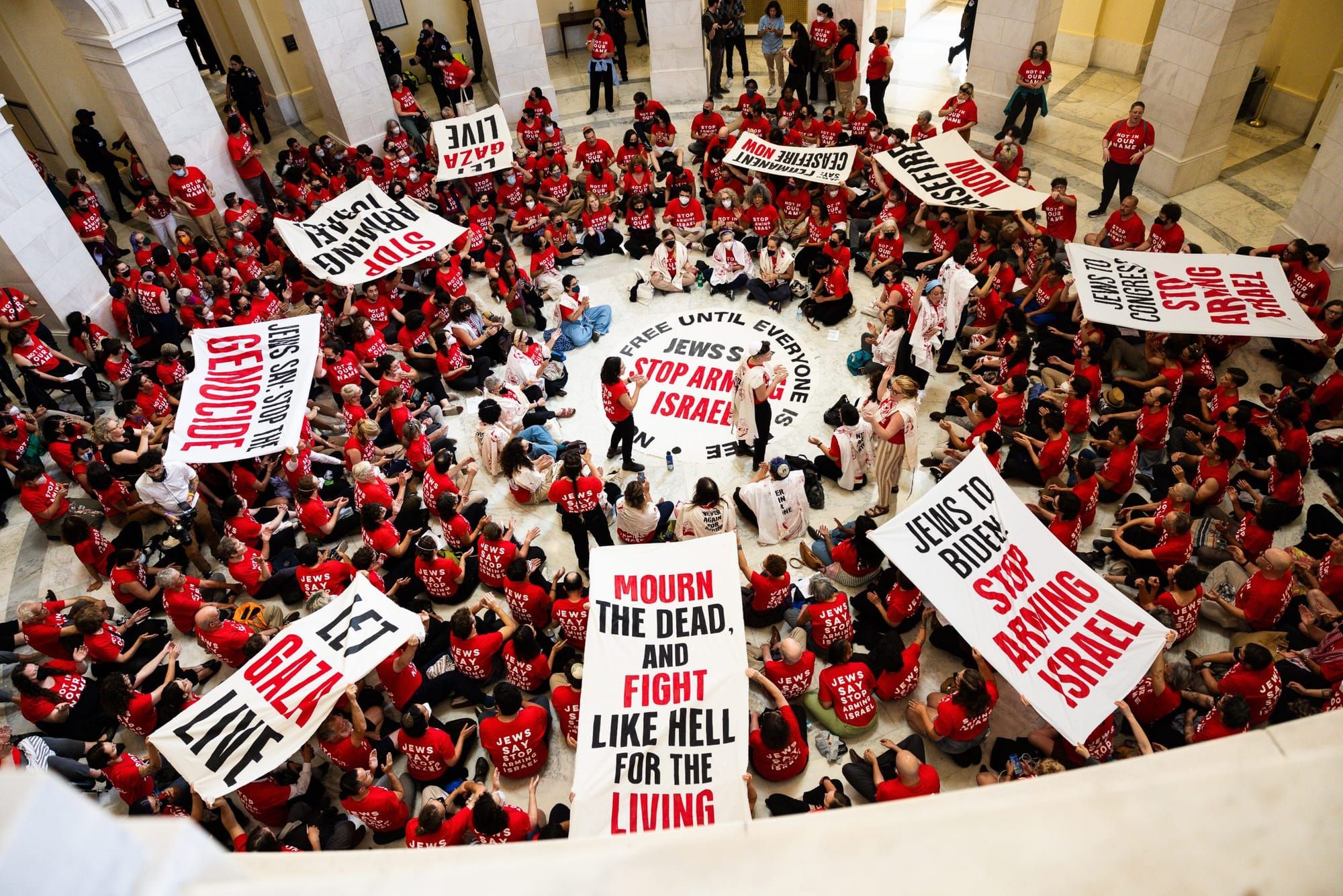 color photograph of a pro-Palestine liberation protest in the Capitol. People are photographed from above holding banners tha