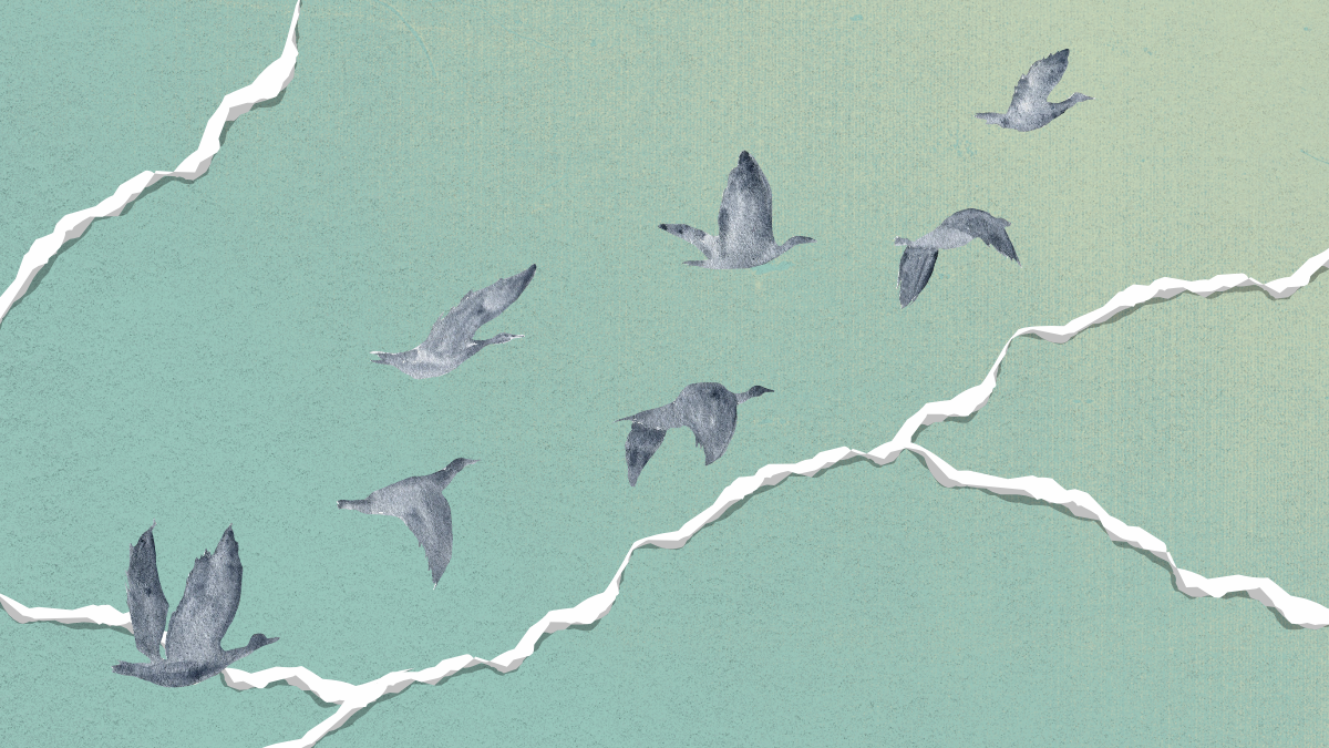 color digital collage on a light teal background with torn paper lines that look like waves. eight birds fly from the bottom