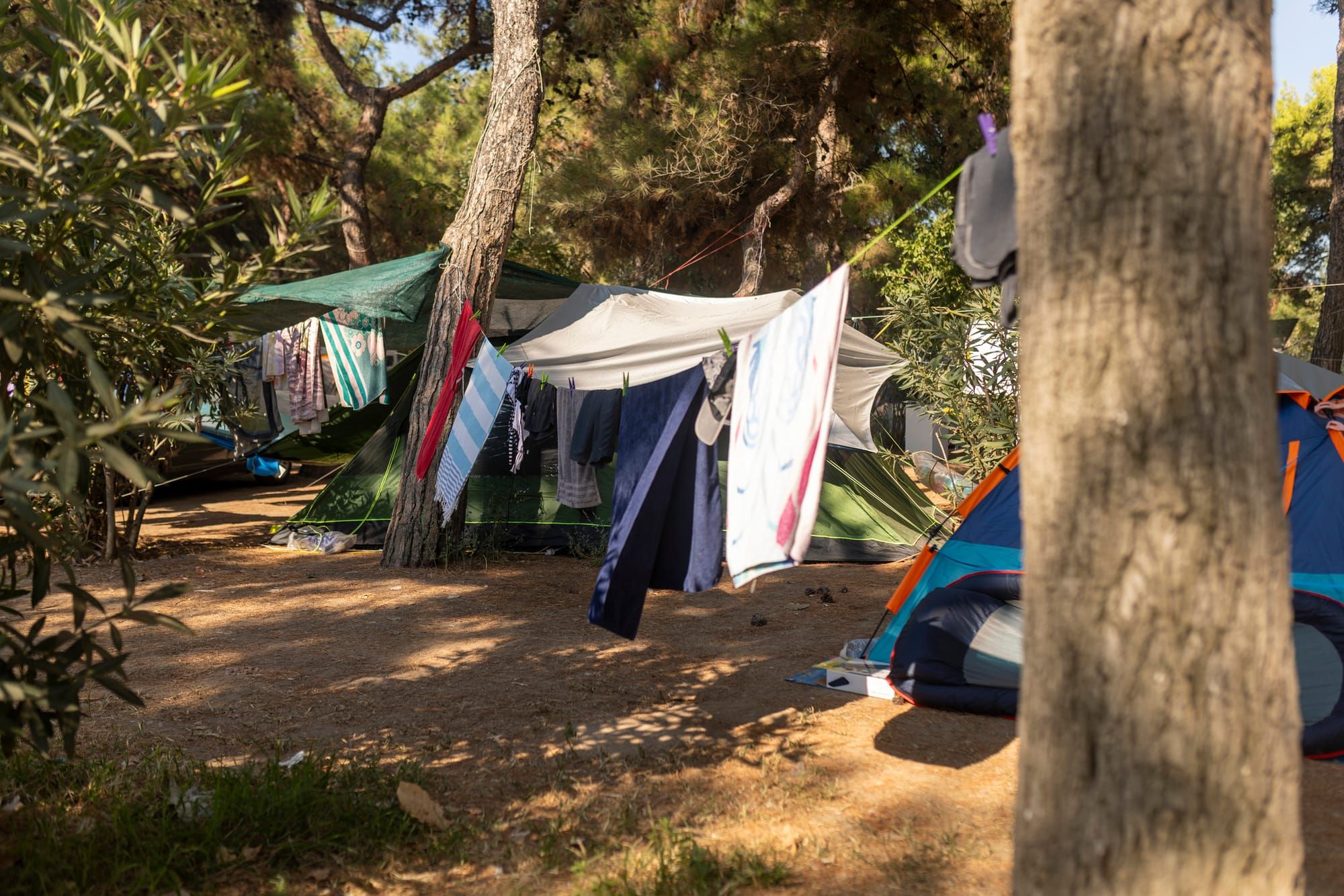 Clothes hang on a line near tents in a forested area