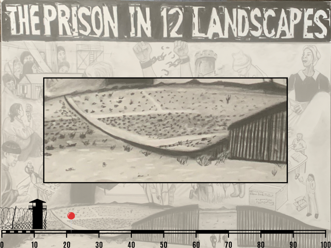 Illustration of a desert