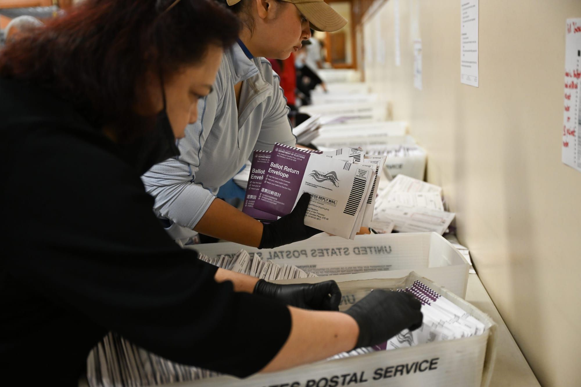 Election workers wear gloves and sort through ballots that are organized in boxes.