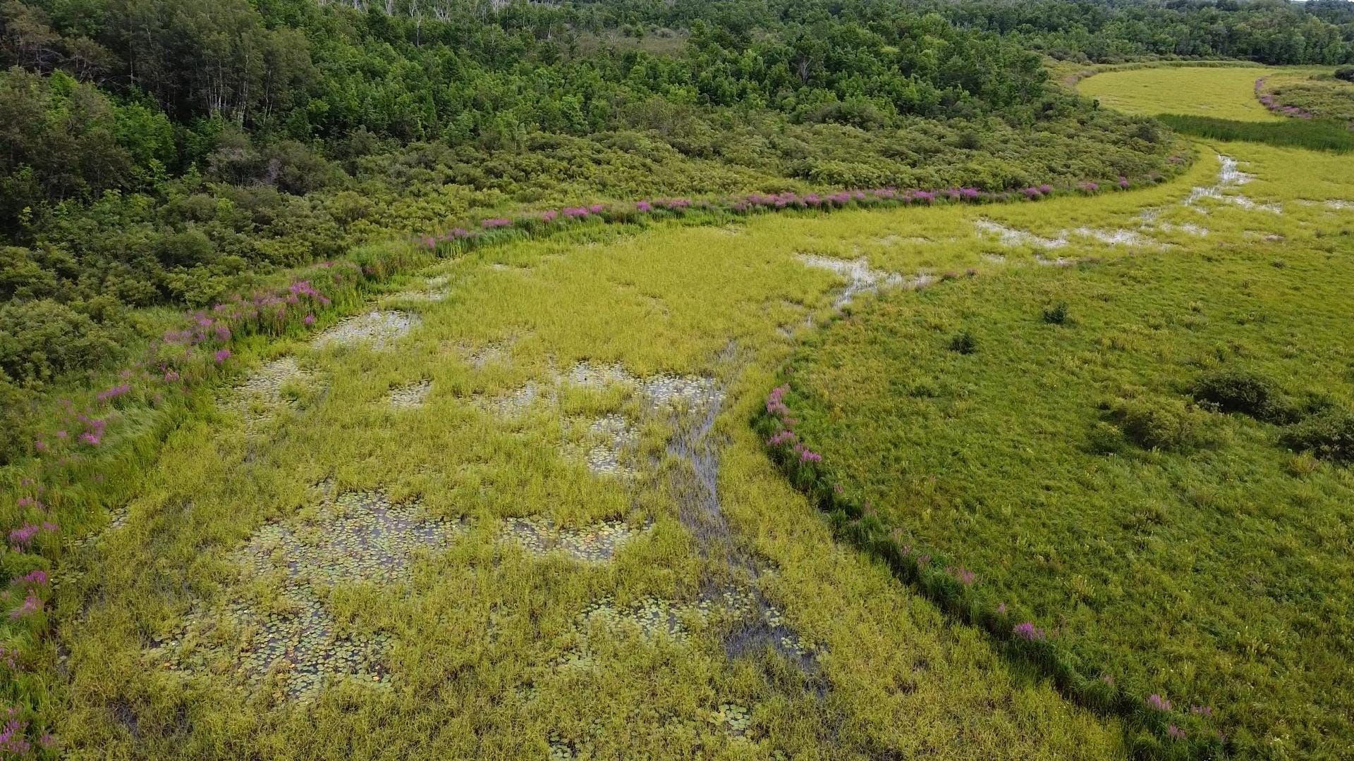 Indigenous and rural organizers in Minnesota prioritize clean water over ‘green’ nickel mine