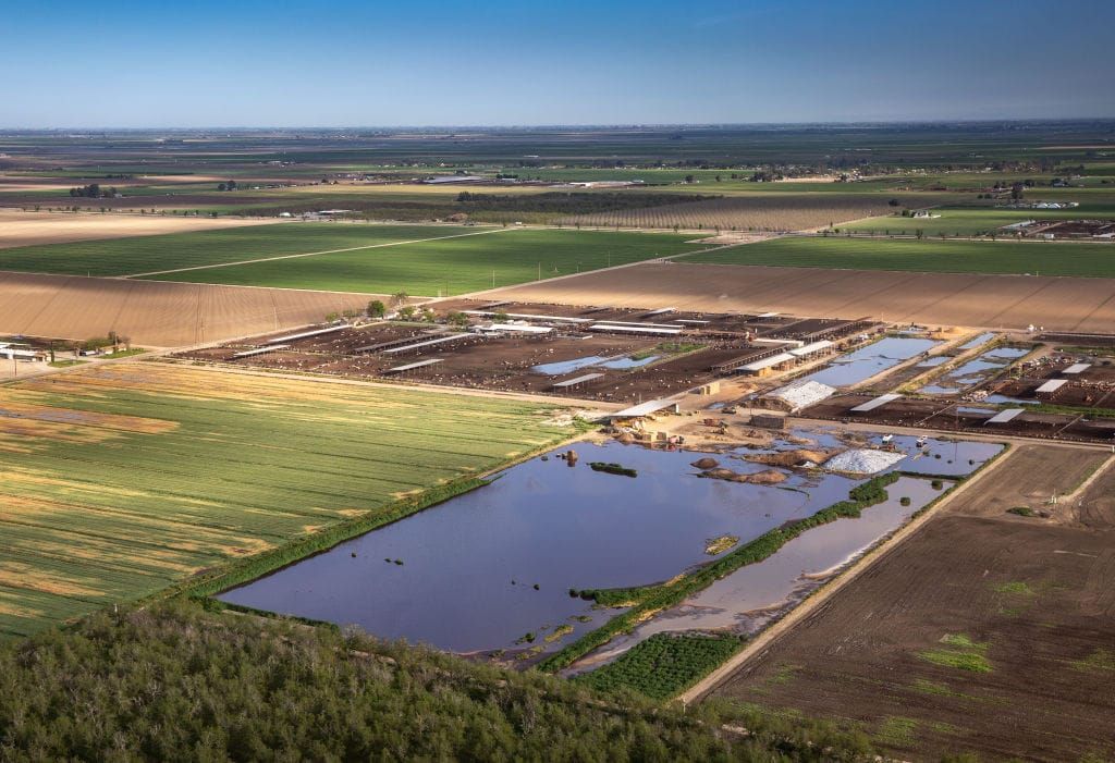 Dairies in California’s Central Valley not only pollute with impunity, but with state support