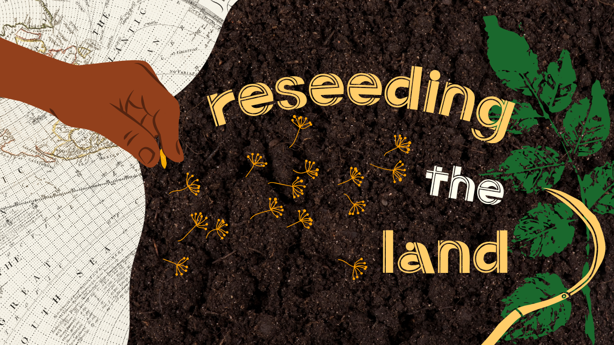 The U.S. food system needs more than ‘doomsday vaults’ for seeds