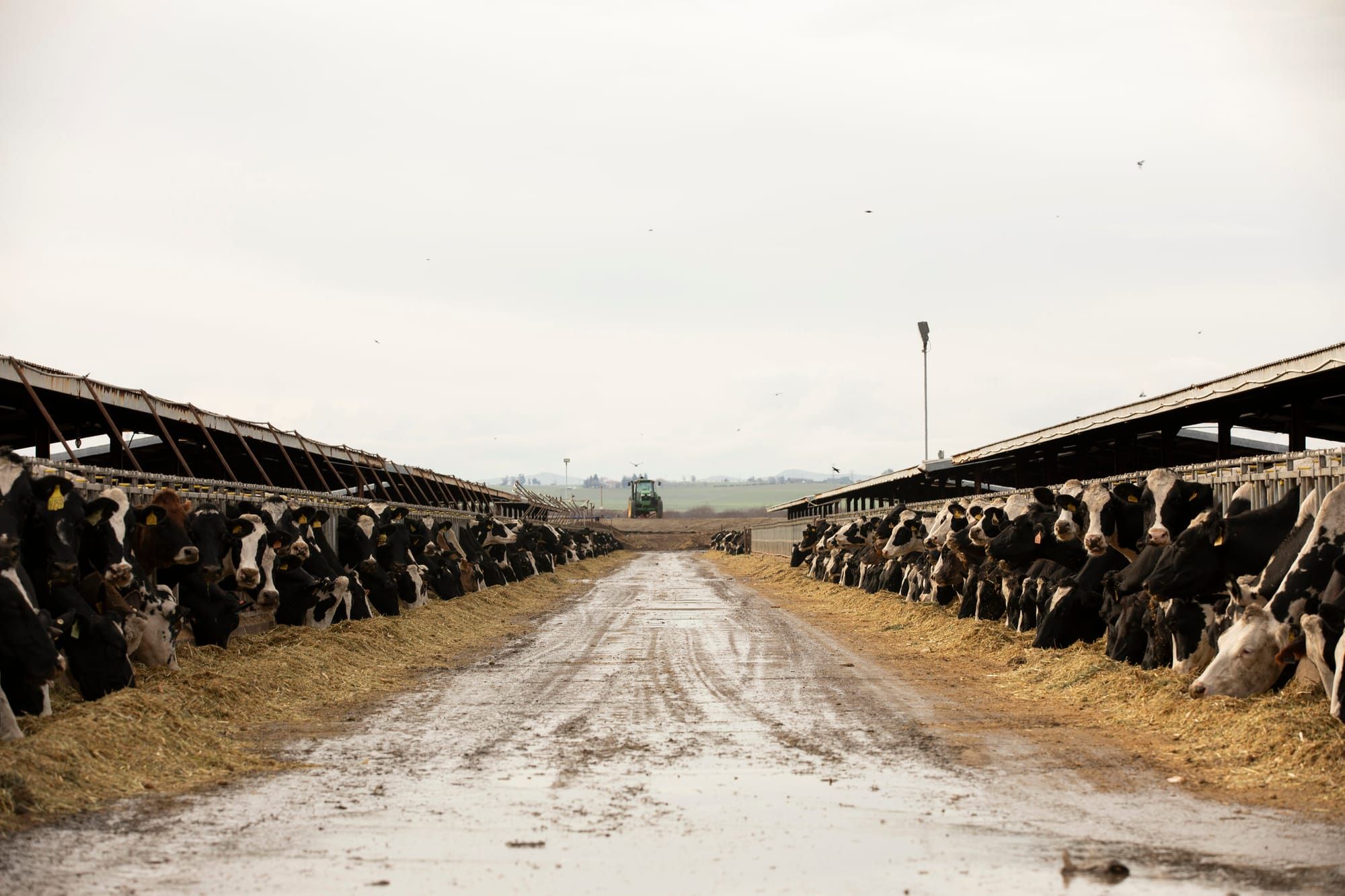‘We’re not dumb Mexicans’: In the Central Valley, residents fight against California policies that incentivize pollution marketed as renewable energy   