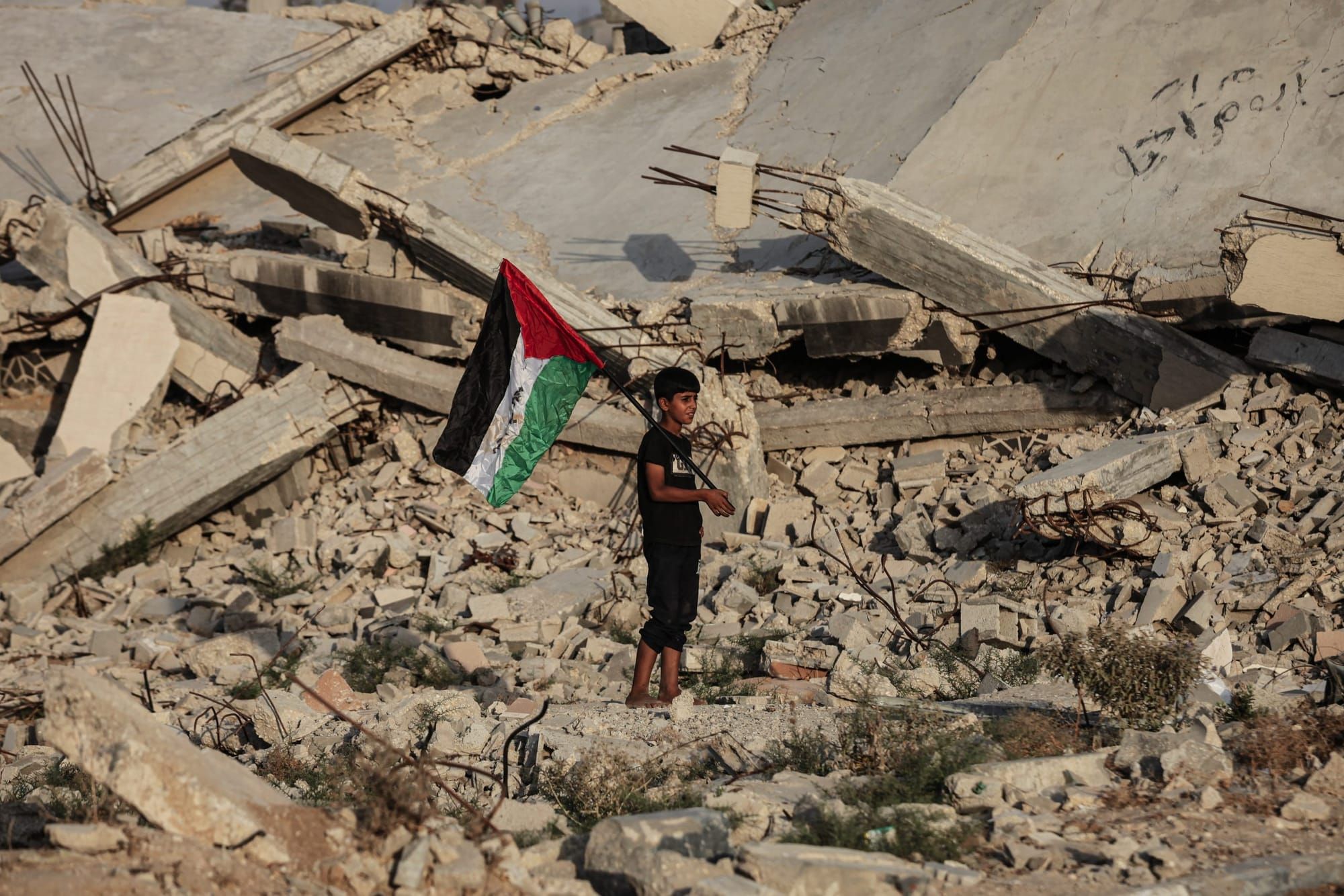 When overthinking also kills: Another mass exodus to the south