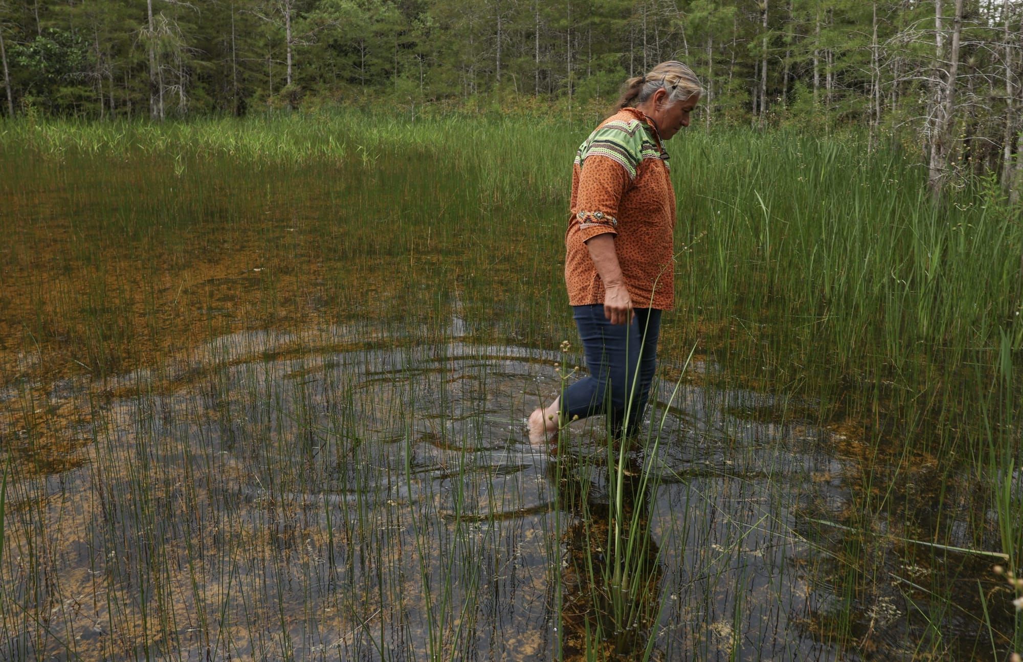 ‘River of Grass’ isn’t your typical environmental documentary