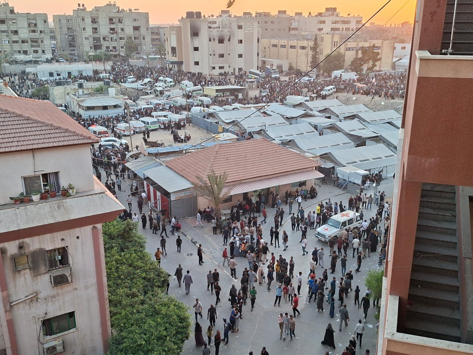 The free and the departed: When Gaza’s hostages return to a changed homeland