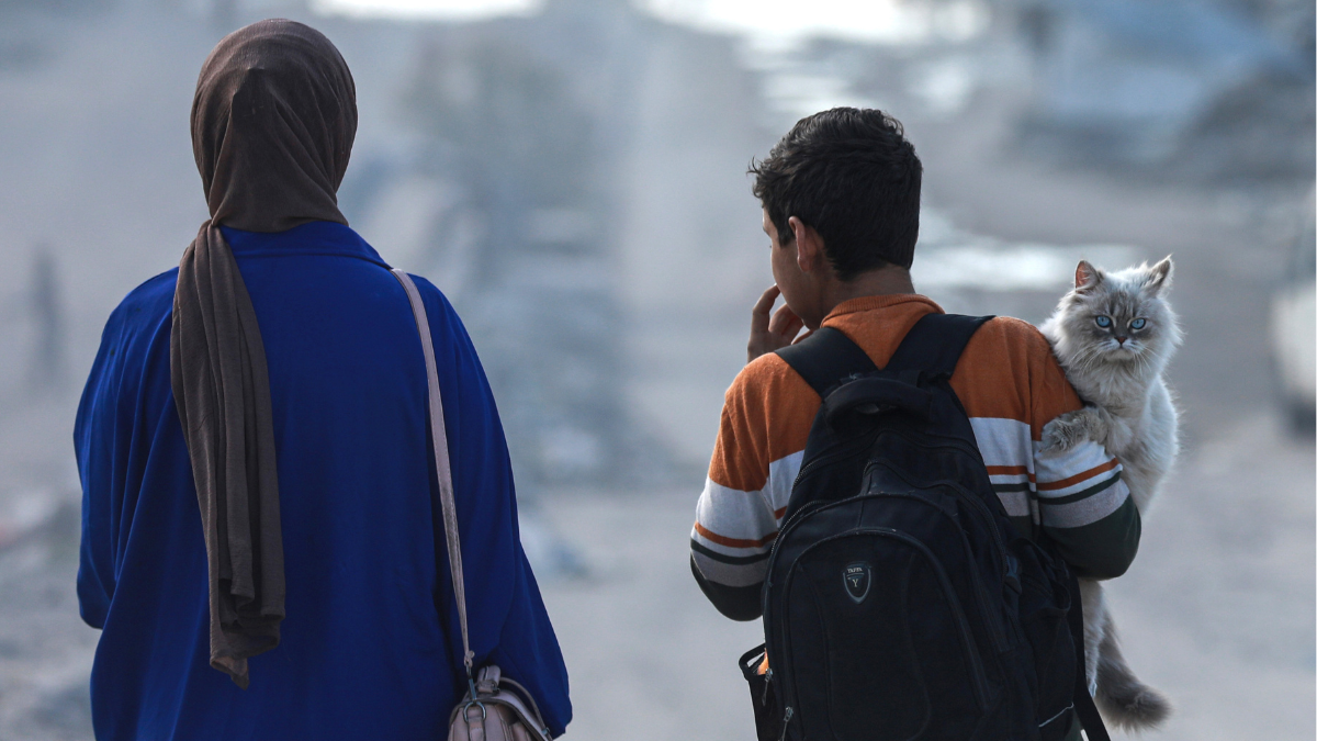 Israel calls us ‘human animals,’ never understanding that our bond with animals is the deepest proof of our humanity