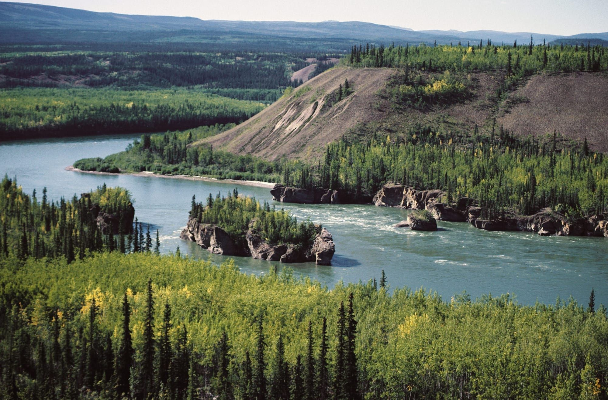 The Yukon River is “a living being”: The fight to protect the longest salmon run in the world