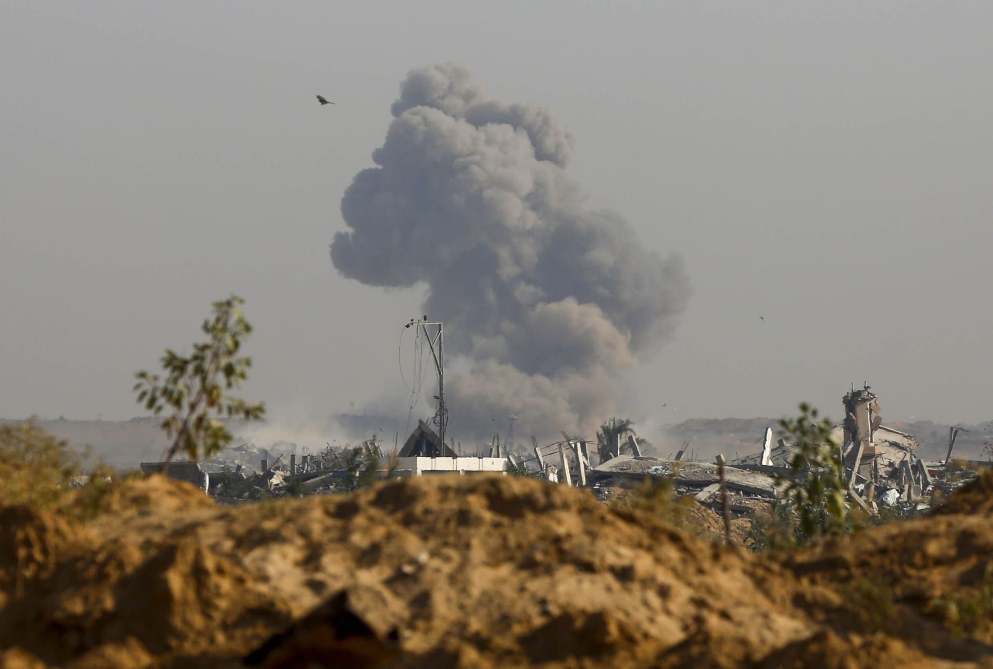 Israel is still killing Palestinians, including 14 of my relatives