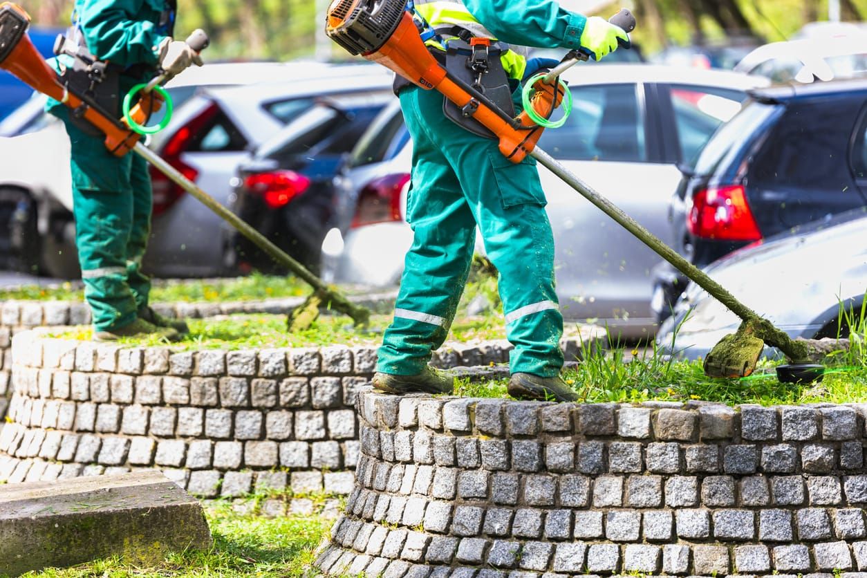 Trump’s H-2 visa overhaul legislates indentured servitude, critics say