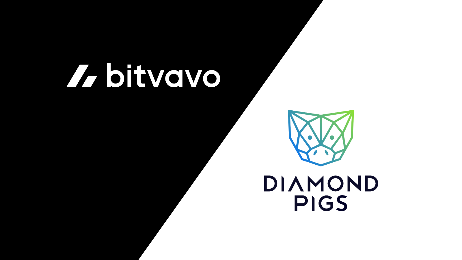 New Partnership: Bitvavo x Diamond Pigs