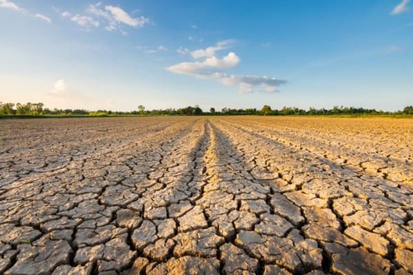 Dopo l'estete rovente, il tema ambientale fa un salto di qualità