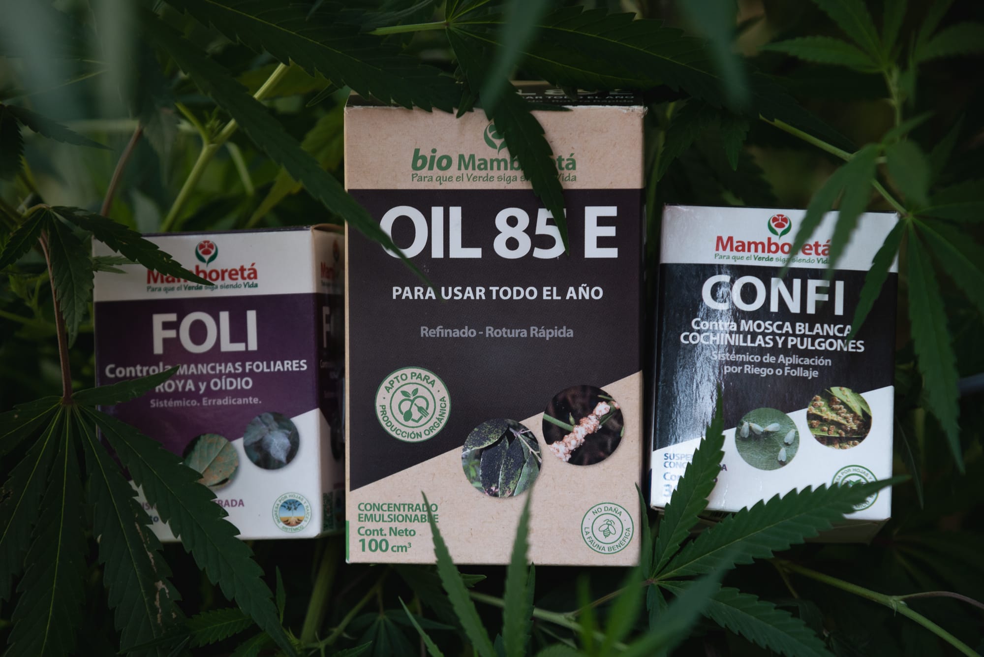 Preventivos y plaguicidas Mamboretá