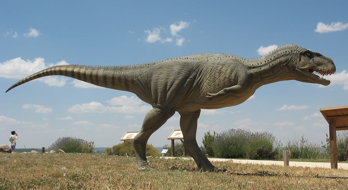 Abelisaurus comahuensis (1985)