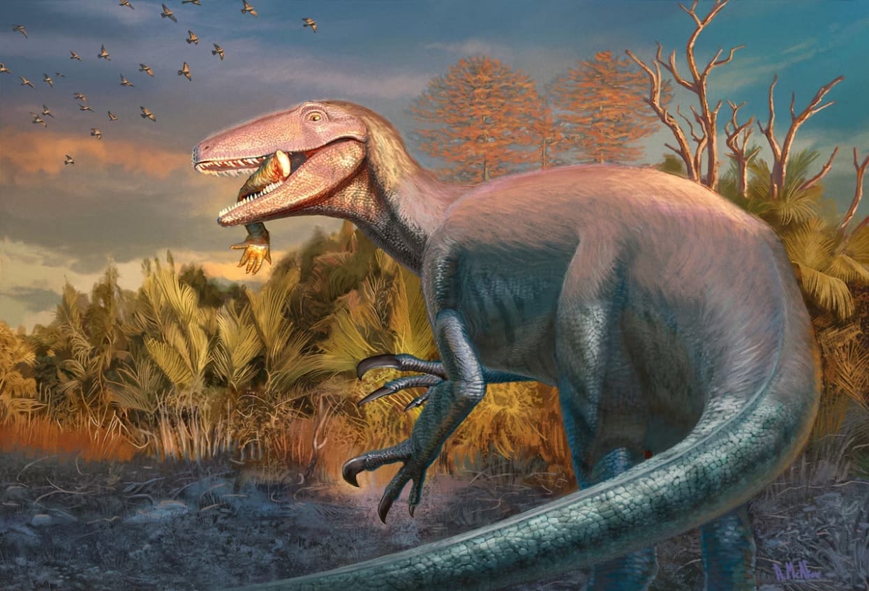 Joaquinraptor casali por Andrew McAfee (Carnegie Museum)